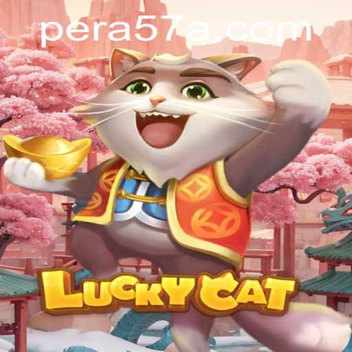 Exploring the Enchantment of LuckyCat: An Insightful Introduction and Guide